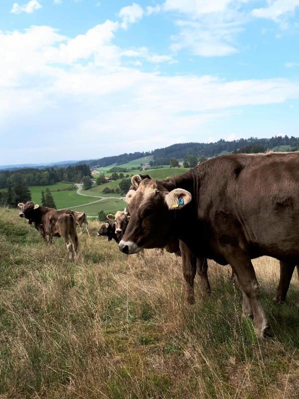 Ferienhaus Rasch Maierhöfen Buitenkant foto