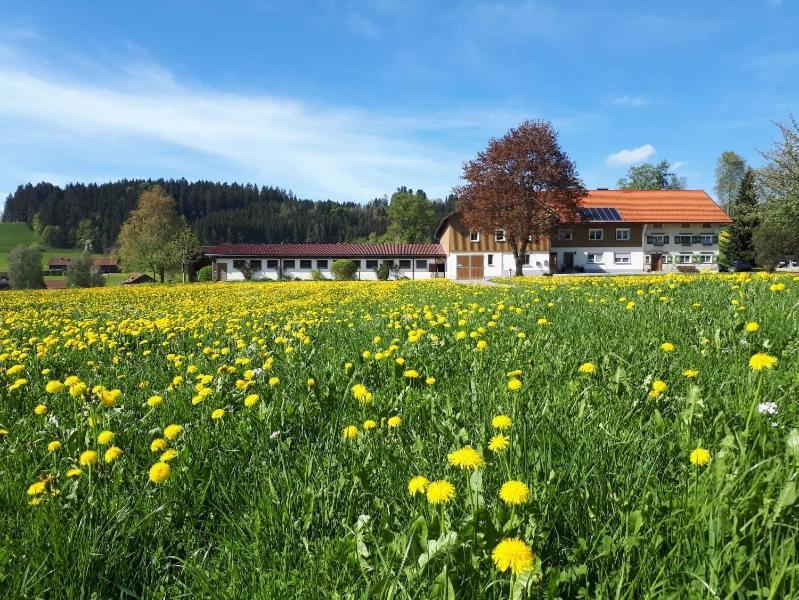 Ferienhaus Rasch Maierhöfen Buitenkant foto