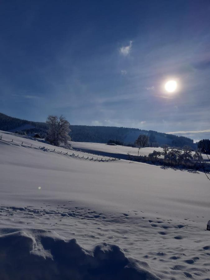 Ferienhaus Rasch Maierhöfen Buitenkant foto