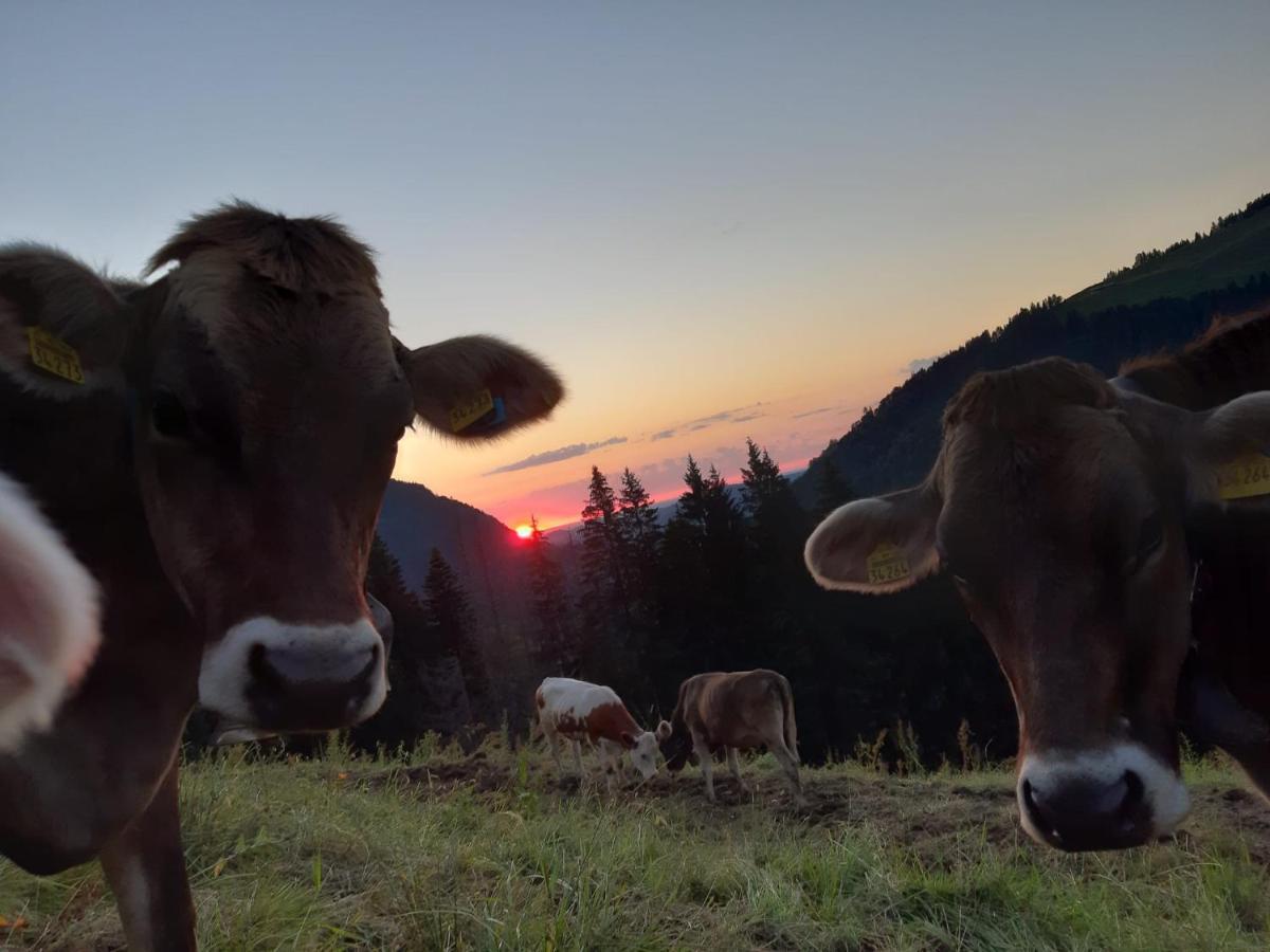 Ferienhaus Rasch Maierhöfen Buitenkant foto